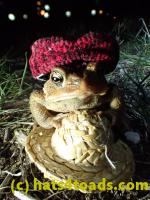 /home//u458753944/public_html/sourcegallery//////////////////////Roxborough Toad Detour/2013-2019/2017/P4030707.JPG